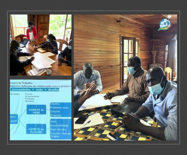 &quot;O Comité do Futuro&quot; - workshop do Comité Nacional de Mudanças Climáticas