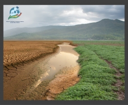 Ferramentas não faltam para o combate às mudanças climáticas