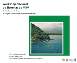 Workshop Nacional de Sistemas de MRV