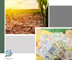 Falhas no financiamento podem comprometer as metas climáticas